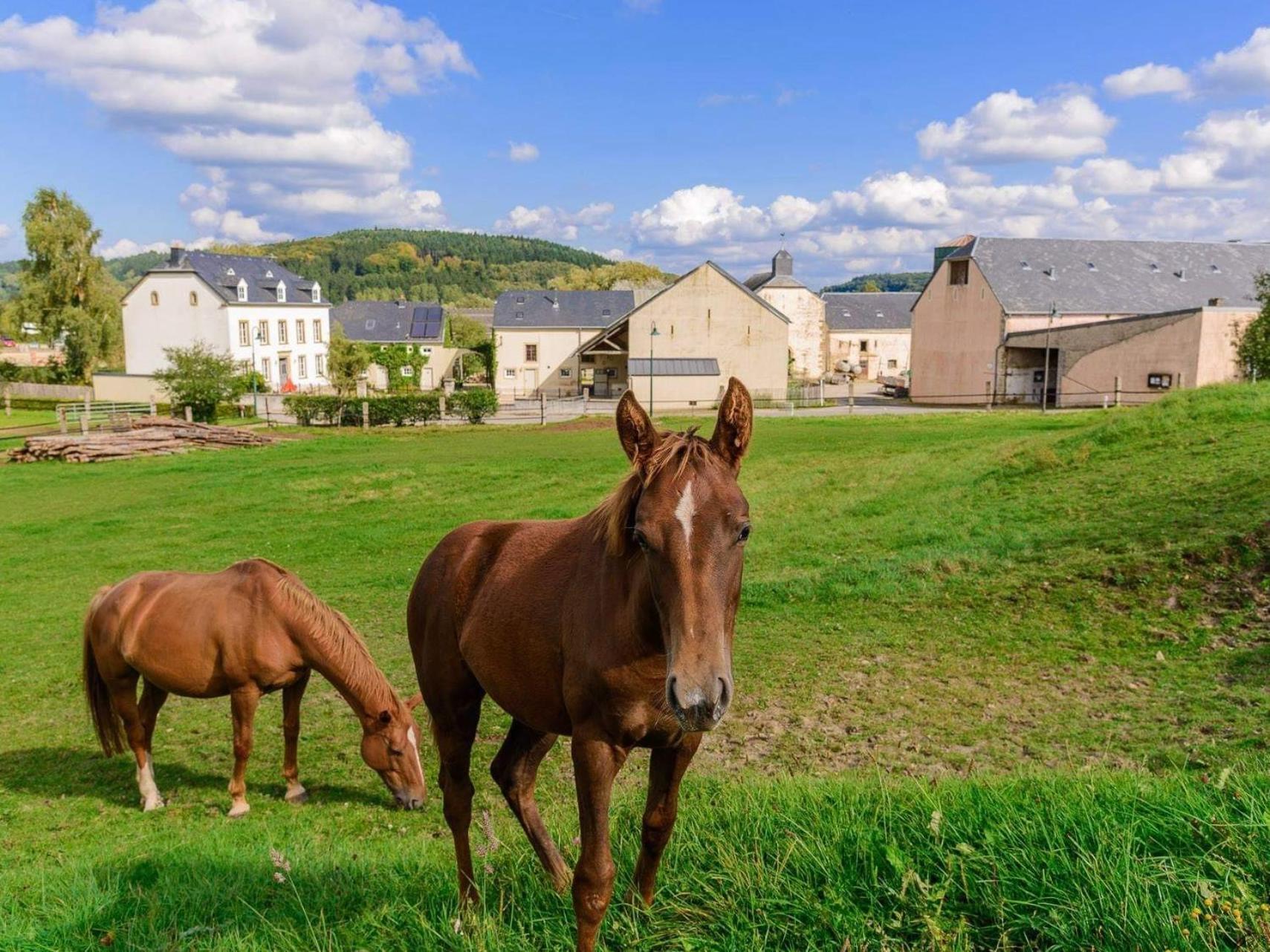 Cottage House Weyer Horse&Groom Room Εξωτερικό φωτογραφία